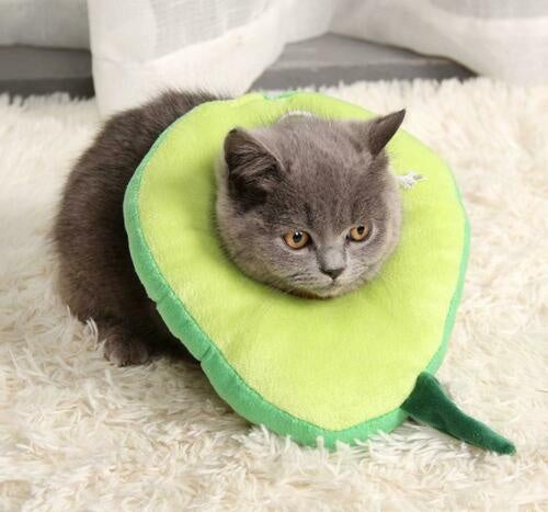 Adjustable Pet Neck Cone Recovery Pet Cat Recovery Collar Cat Soft Lemon Neck Cone Adjustable Pet E Collar After Surgery, Wound Healing For Kitten & Puppy