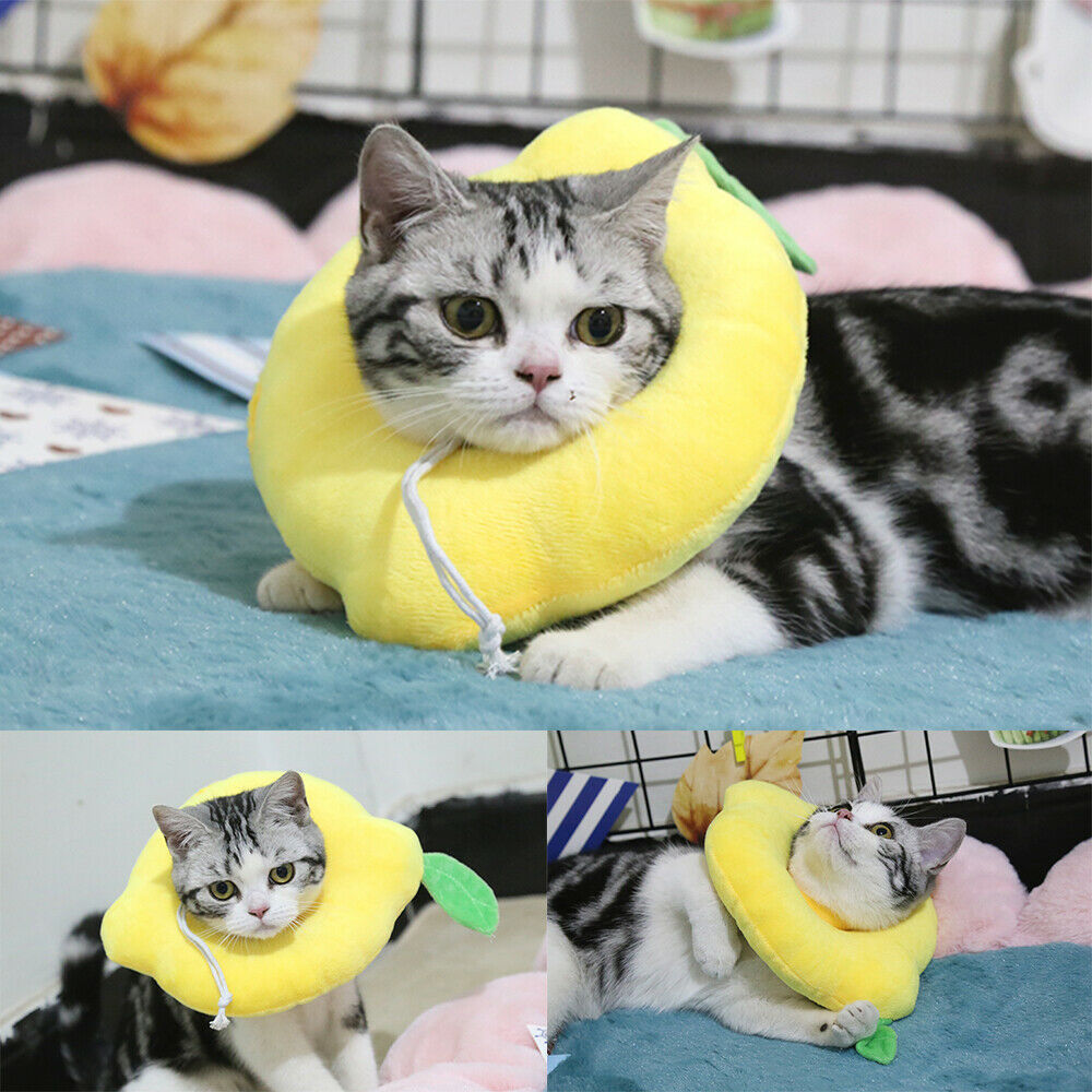 Adjustable Pet Neck Cone Recovery Pet Cat Recovery Collar Cat Soft Lemon Neck Cone Adjustable Pet E Collar After Surgery, Wound Healing For Kitten & Puppy